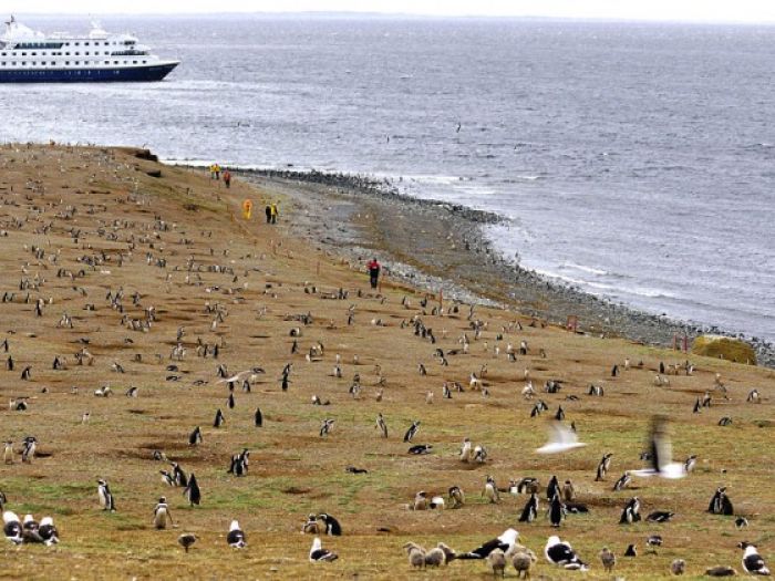 Stella Australis Patagonia Expedition Cruise